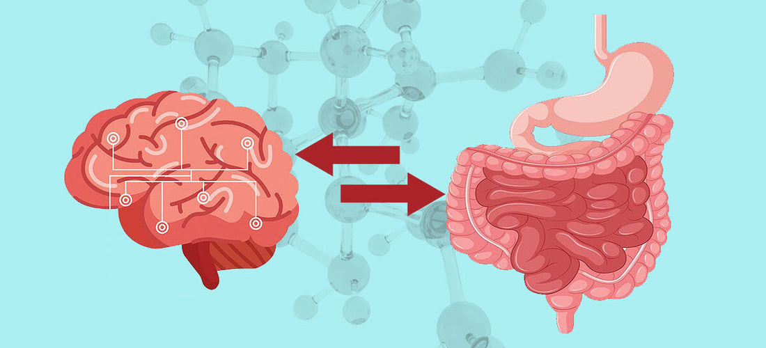 The Gut Brain