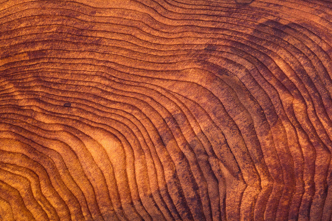What Your Body Already Knows About Wood