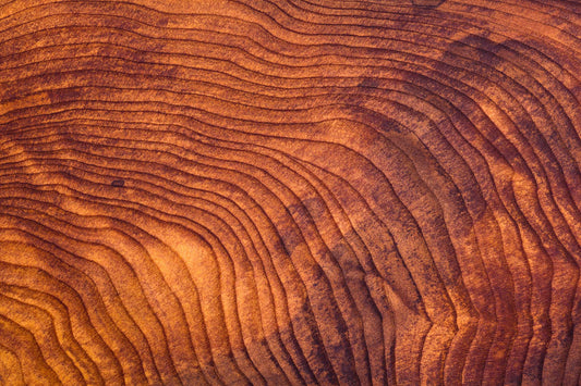 What Your Body Already Knows About Wood