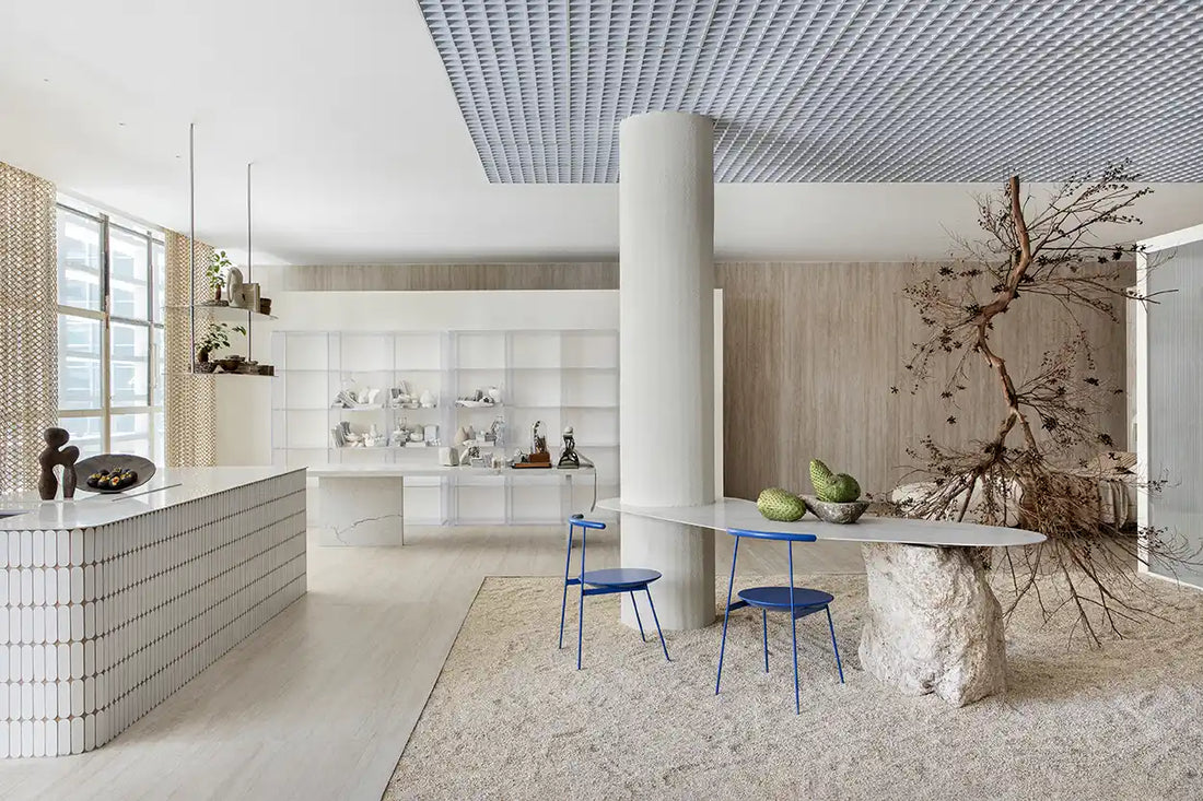 Furniture for Wellness